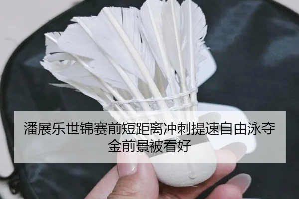 潘展乐世锦赛前短距离冲刺提速自由泳夺金前景被看好